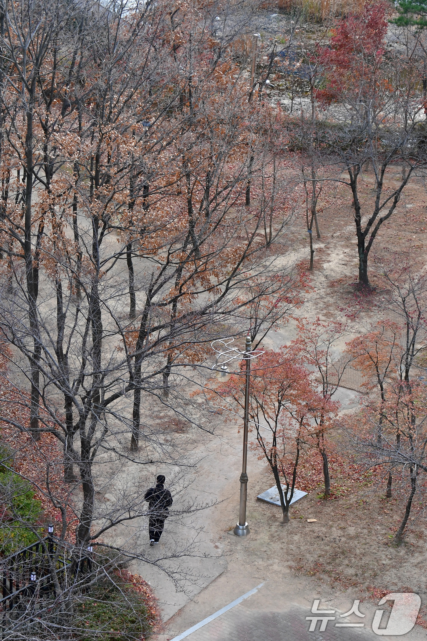 (포항=뉴스1) 최창호 기자 = 10일 오전 경북 포항시청 옆 숲깊에서 한 시민이 걸어가고 있다. 2025.12.10/뉴스1
