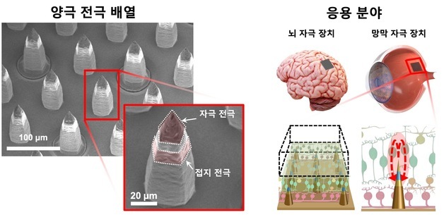 시각장애인에 '선명한 인공망막' 구현 가능한 전극구조 개발