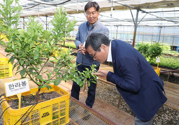 강릉시, 미래형 과학영농 본격화…스마트농업 기반 확대