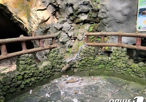 '낙석'에 폐쇄됐던 제주 만장굴 내년 3~4월 재개방
