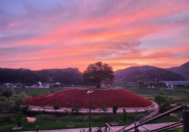 영월군, 내년 3월까지 동서강정원 청령포원 메인구역 야간운영