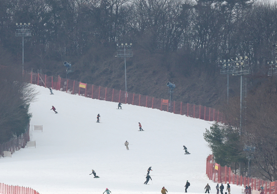 스키장 찾은 스키어