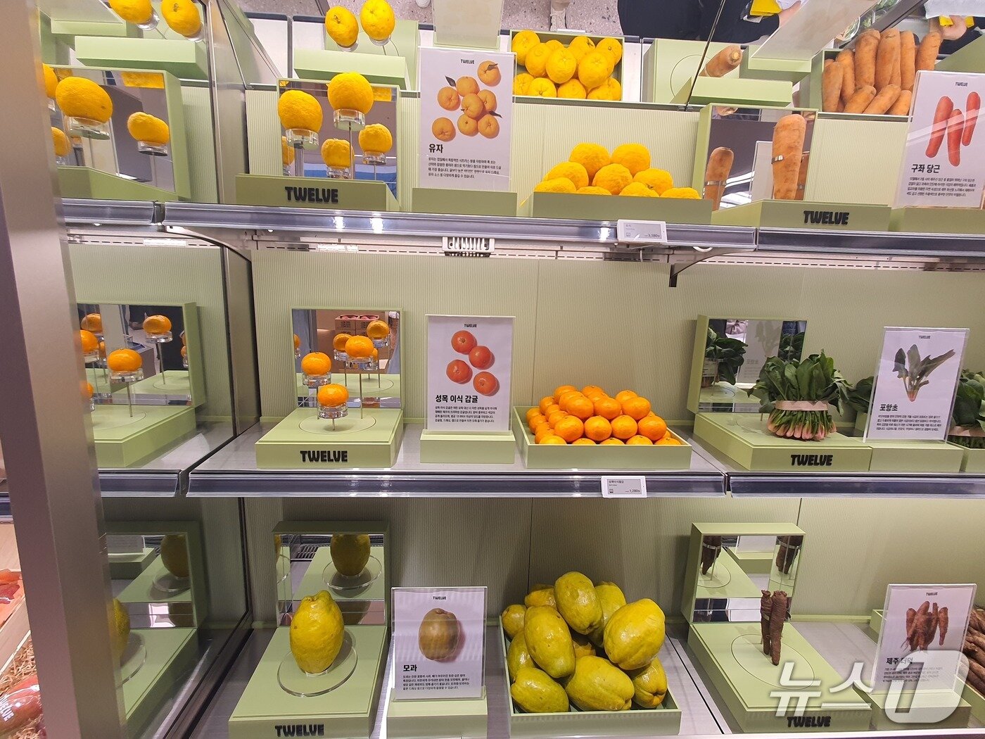본문 이미지 - &#39;하우스오브신세계 청담&#39; 지하 1층 식품관 &#39;트웰브&#40;TWELVE&#41;&#39; 내에 전시된 식료품.