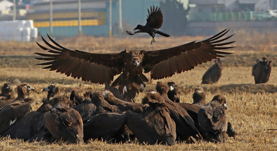 [오늘의 날씨] 부산·경남(16일, 화)…최저 -4도, 큰 일교차