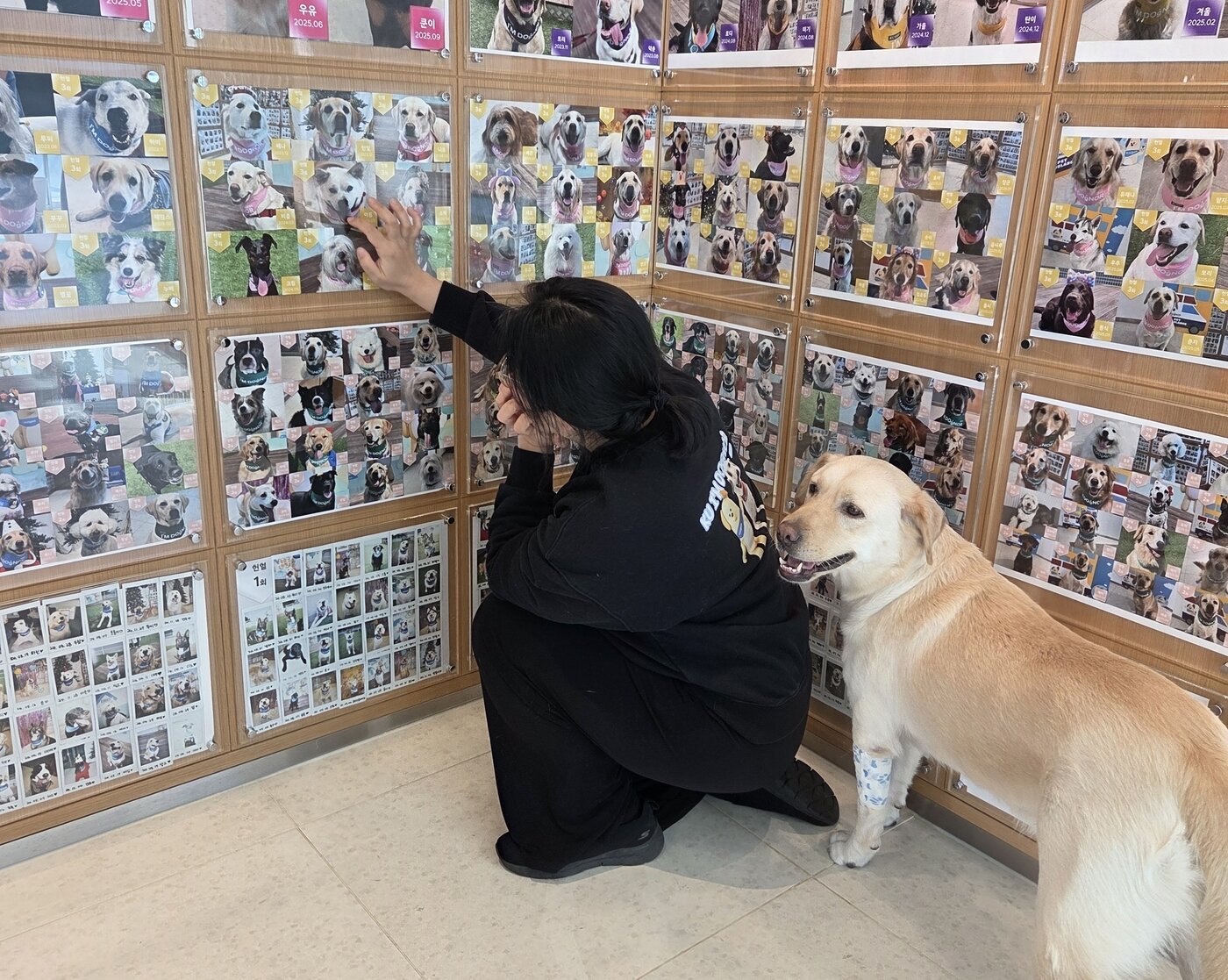 본문 이미지 - 보호자가 명예의 전당에 걸린 아름이 사진 앞에서 인사하고 있다. ⓒ 뉴스1 한송아 기자