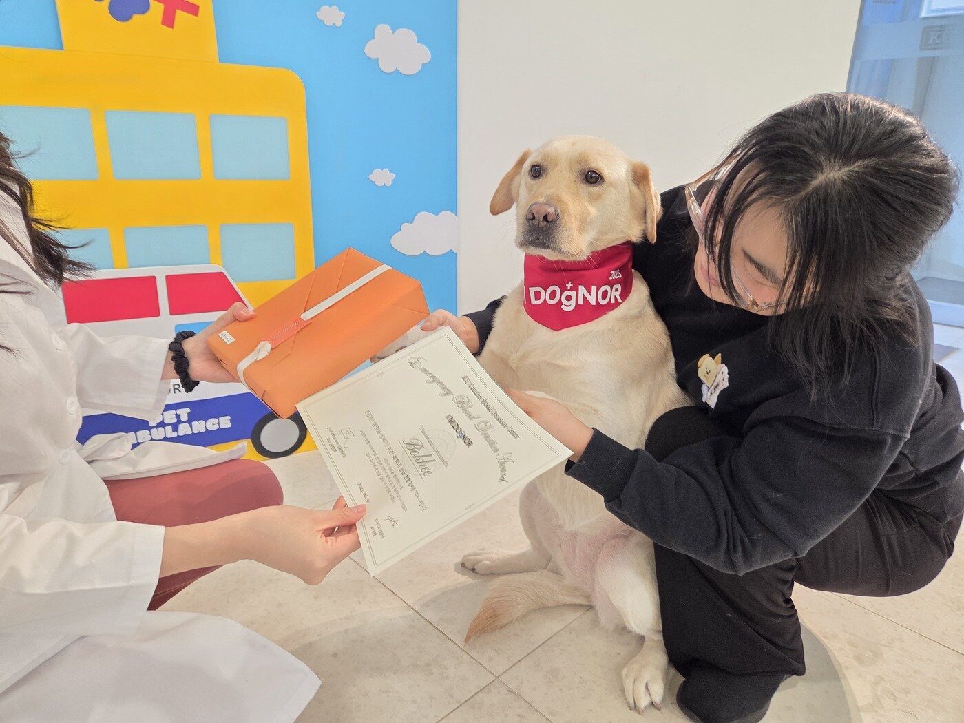 본문 이미지 - 정기 헌혈 외에 응급헌혈로 특별 선물을 받는 복희 ⓒ 뉴스1 한송아 기자