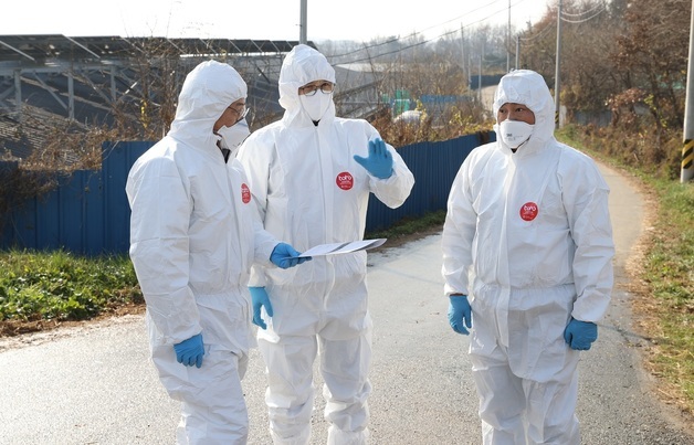 영암군 고병원성 조류인플루엔자 확산 방지 총력