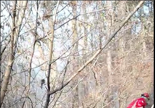 보령 청라면 장산리서 산불…20분 만에 진화