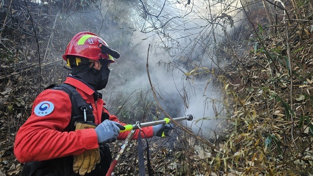 동부산림청 "건조특보 지속, 화기 사용 자제"…산불 잔불정리 완료