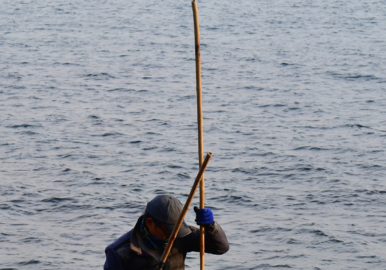 따게비 잡는 날