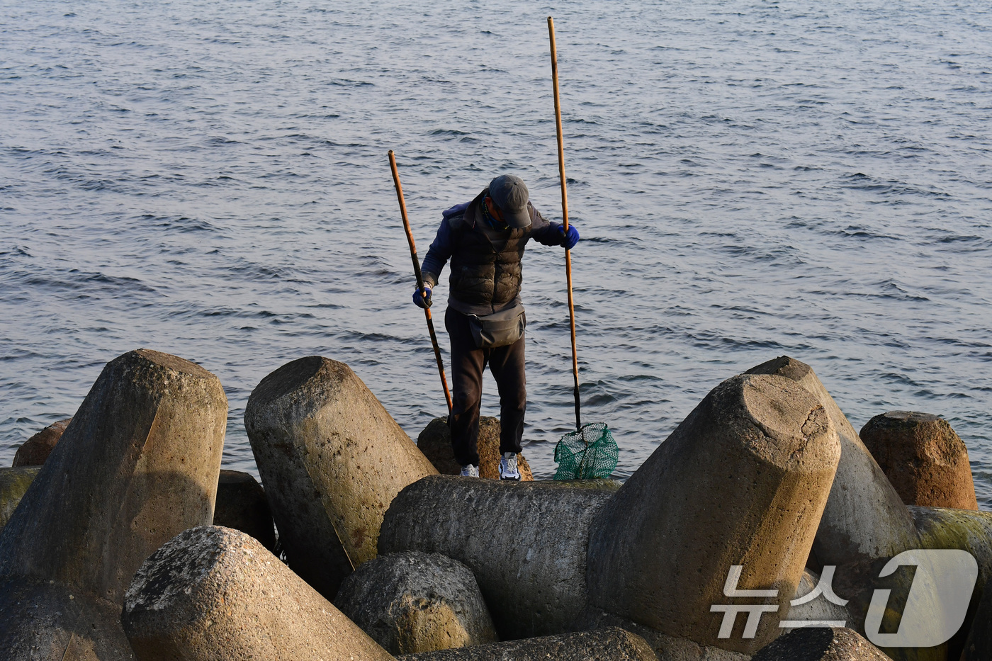 (포항=뉴스1) 최창호 기자 = 10일 오후 경북 포항시 북구 환여동 해안가에 있는 테트라포트 위에서 시민이 따게비를 채취하고 있다. 2025.12.10/뉴스1