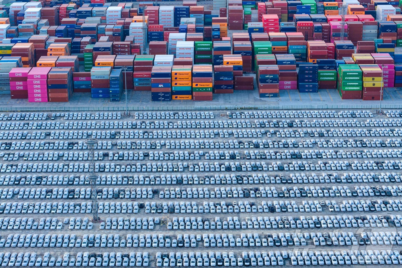 (난징 AFP=뉴스1) 이정환 기자 = 9일(현지시간) 중국 난징의 한 항구에서 자동차들이 수출 선적을 기다리고 있다. 2025.12.09.ⓒ AFP=뉴스1