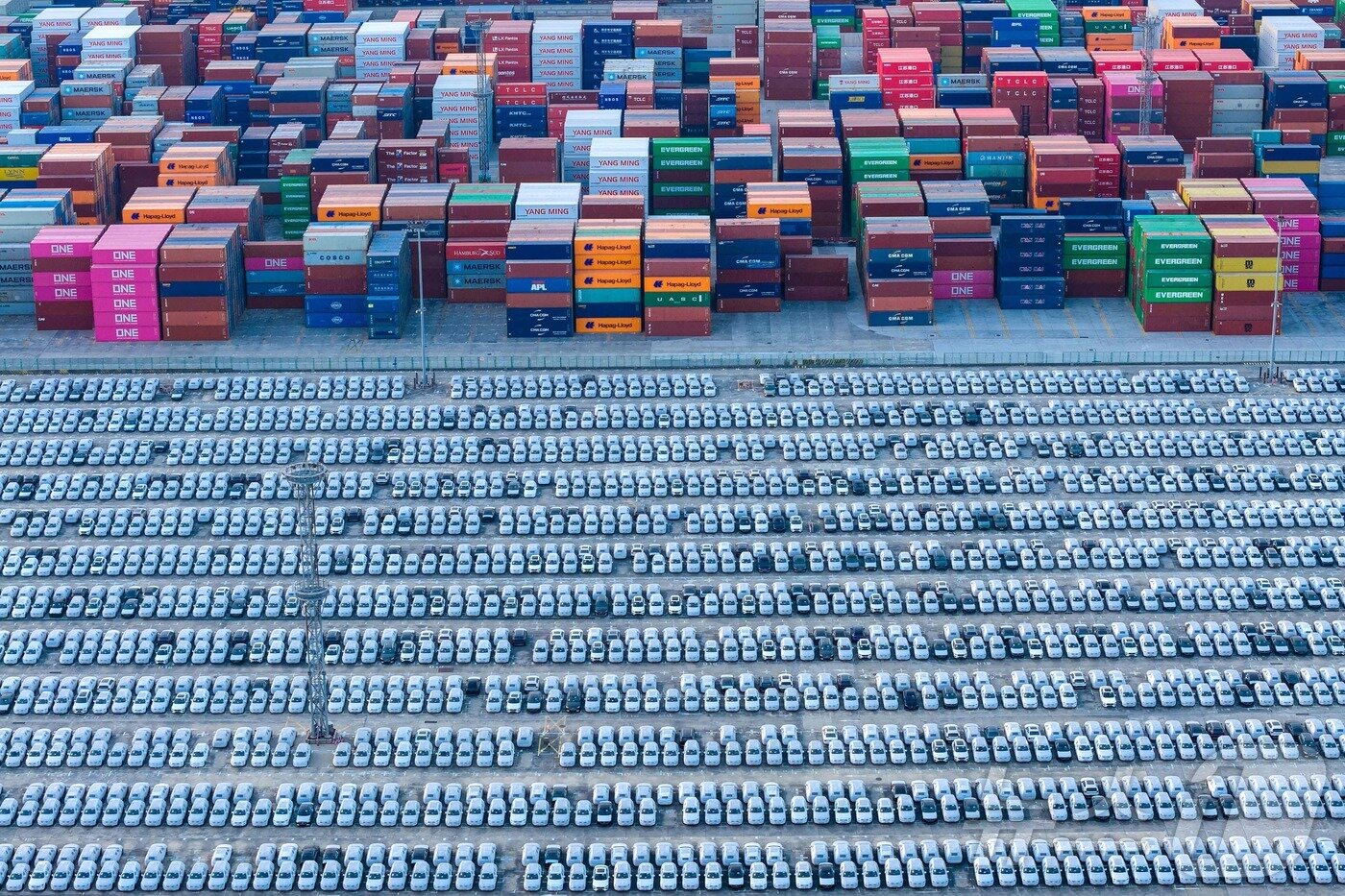 본문 이미지 - 9일(현지시간) 중국 난징의 한 항구에서 자동차들이 수출 선적을 기다리고 있다. 2025.12.09. ⓒ AFP=뉴스1