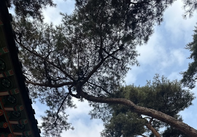 [오늘의 날씨] 경기(11일, 목)…흐리고 눈·비 예보