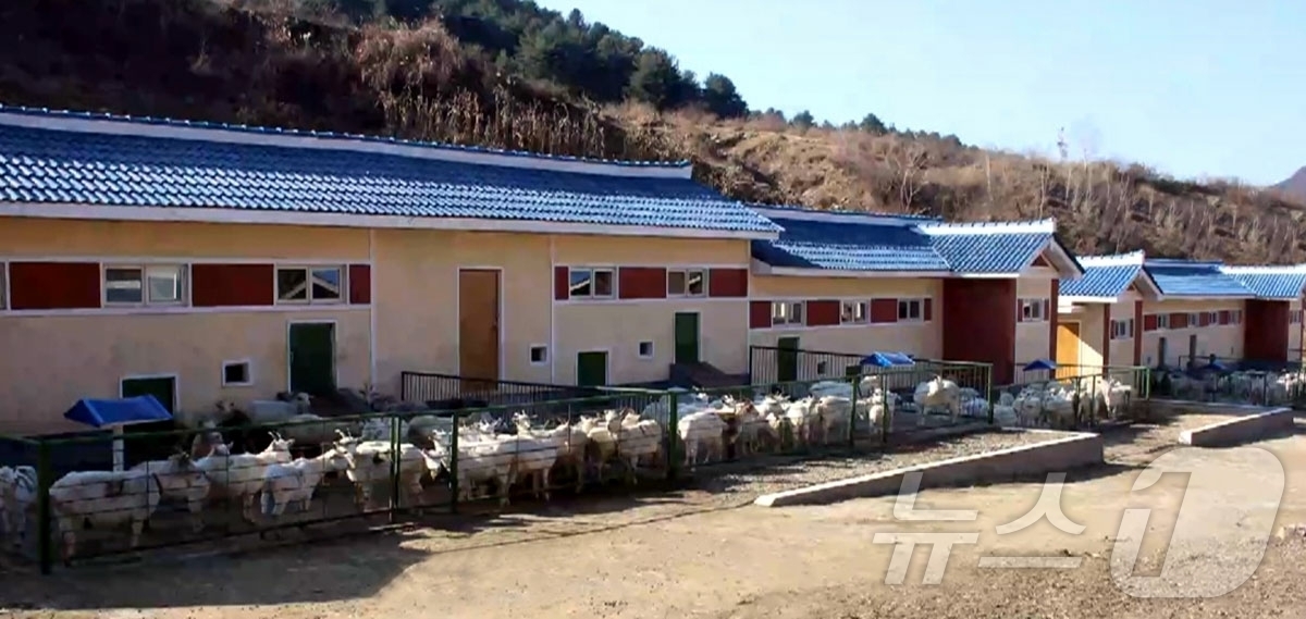 (평양 노동신문=뉴스1) = 북한 노동당 기관지 노동신문은 11일 "어린이들에게 젖제품(유제품)을 정상적으로 공급하는 것을 중요한 정책적 과업으로 틀어쥐고 튼튼한 젖 생산 토대를 …