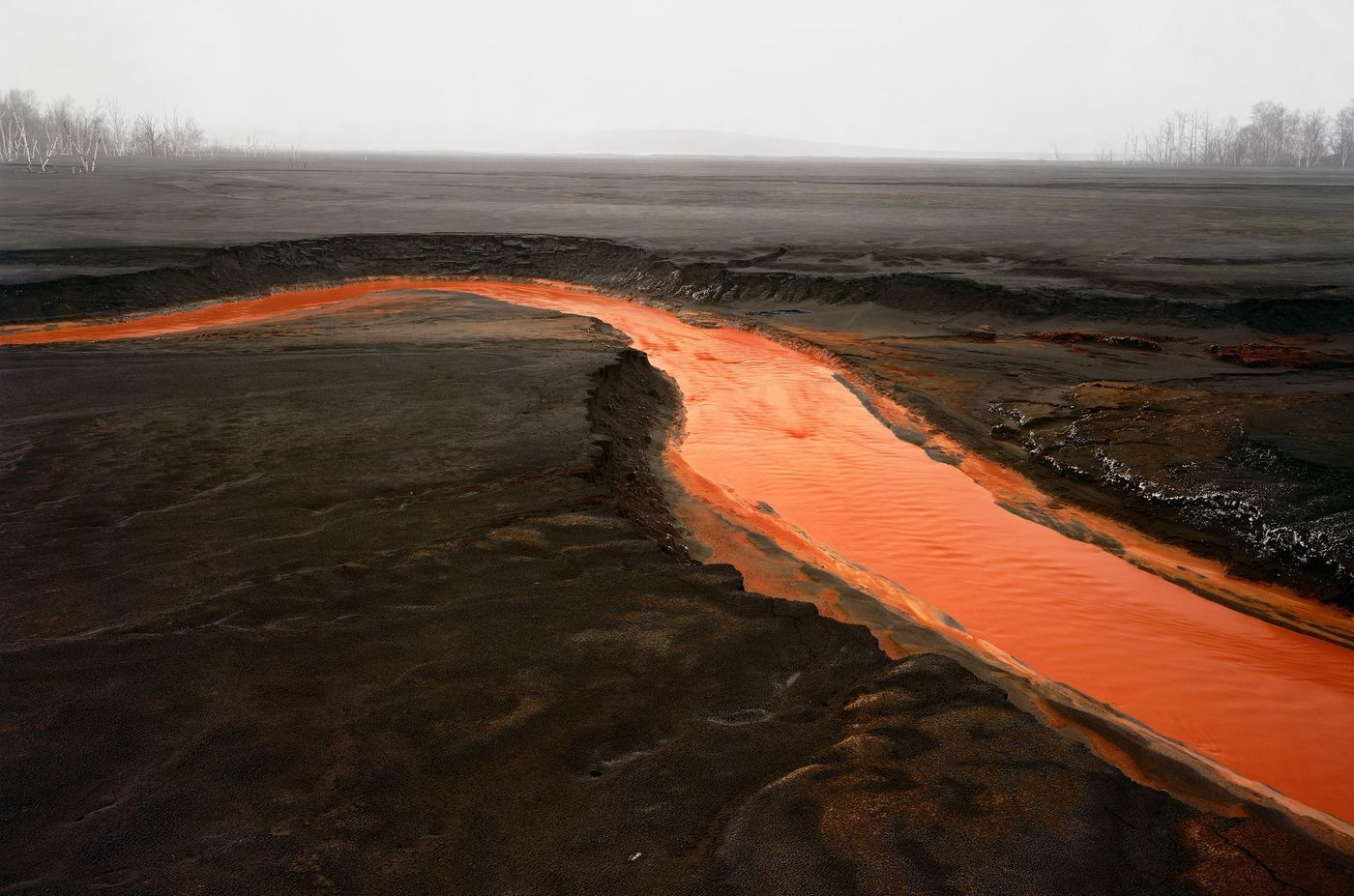 본문 이미지 - 에드워드 버틴스키의 회고전 '버틴스키: 추출/추상'