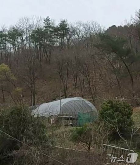 본문 이미지 - 서울경찰청 제공