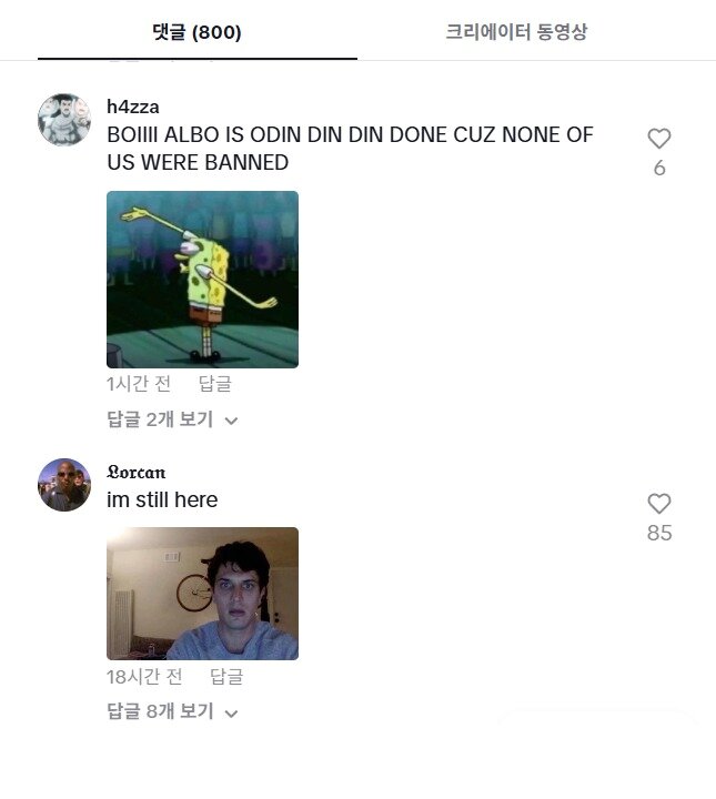 본문 이미지 - 앤서니 앨버니지 호주 총리의 SNS에 &#34;우리 중 아무도 차단 안 당했다&#34;는 내용으로 달린 댓글 &#40;출처=앤서니 앨버니지 호주 총리 틱톡 계정&#41;