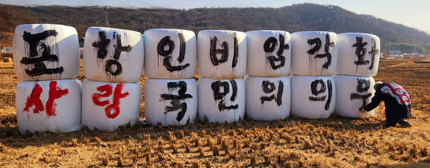 서예가 김동욱씨, 곤포사일리지에 '포항 인비리 암각화공원' 홍보