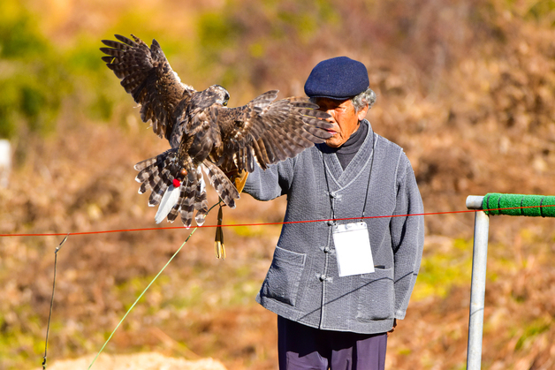 전북 무형유산 '매사냥' 공개시연회, 13일 진안 백운면 홍보관