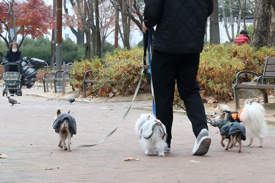 [오늘의 날씨] 울산(12일, 금)…해안 높은 물결, 흐림