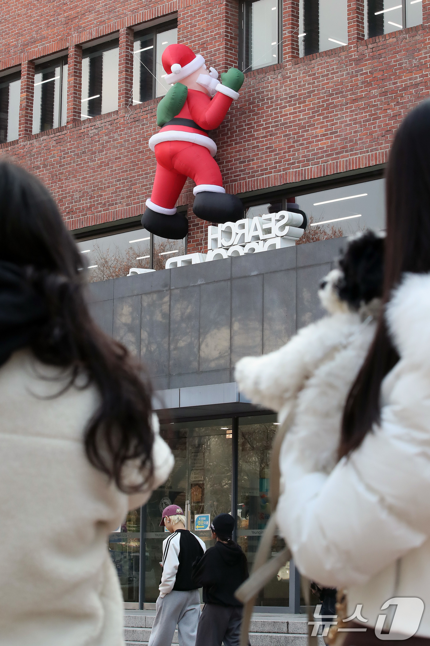 (대구=뉴스1) 공정식 기자 = 11일 오후 크리스마스를 앞두고 대구 북구 영진전문대 도서관 외벽에 설치된 산타 인형이 기말고사를 맞아 도서관을 찾는 학생들의 눈길을 끌고 있다. …