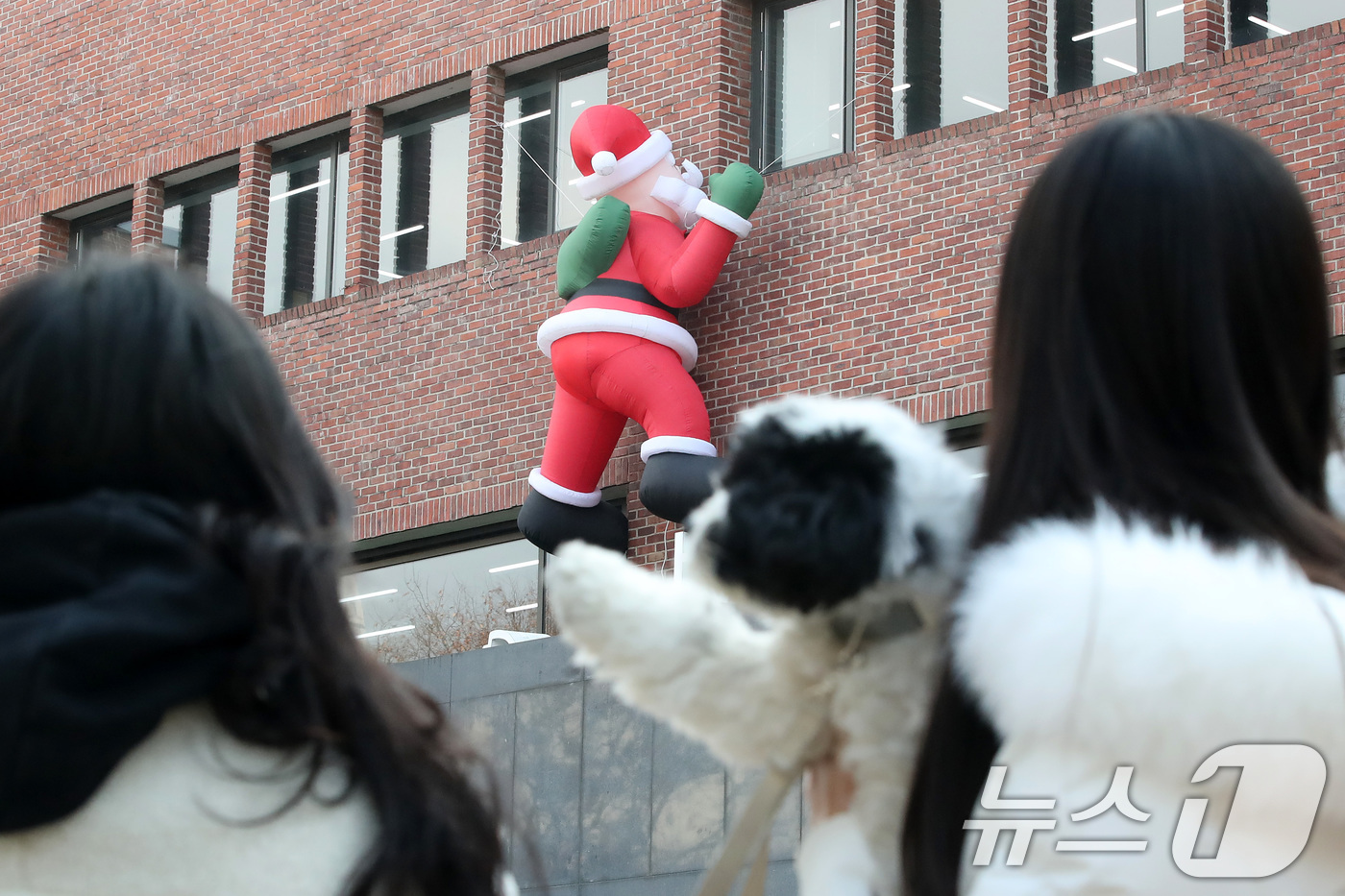 (대구=뉴스1) 공정식 기자 = 11일 오후 크리스마스를 앞두고 대구 북구 영진전문대 도서관 외벽에 설치된 산타 인형이 기말고사를 맞아 도서관을 찾는 학생들의 눈길을 끌고 있다. …