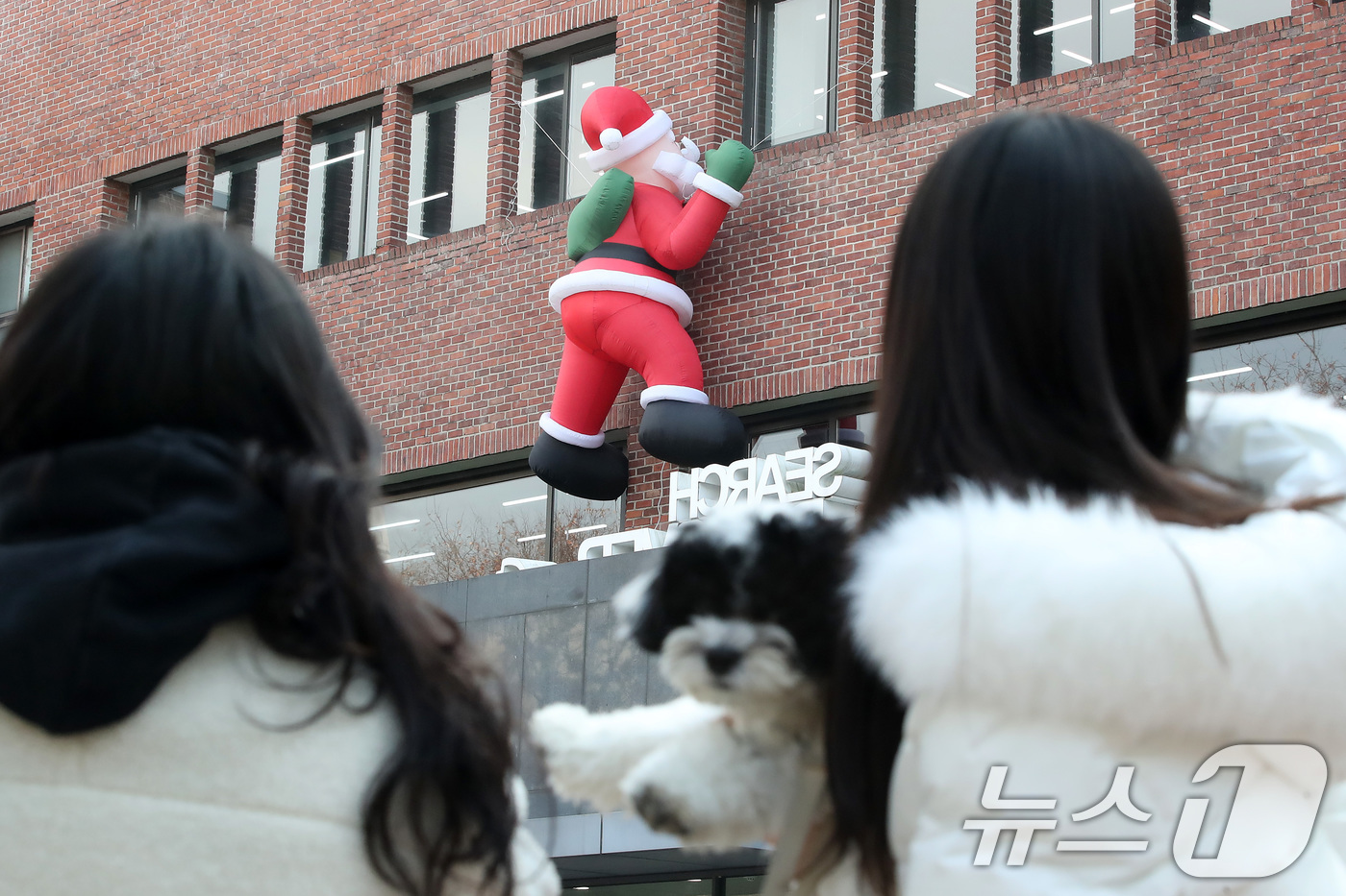 (대구=뉴스1) 공정식 기자 = 11일 오후 크리스마스를 앞두고 대구 북구 영진전문대 도서관 외벽에 설치된 산타 인형이 기말고사를 맞아 도서관을 찾는 학생들의 눈길을 끌고 있다. …