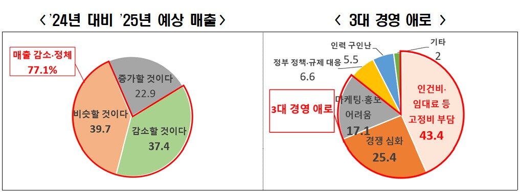 본문 이미지 - 한경협 &#39;소상공인 실태조사&#39; 결과 발췌&#40;한국경제인협회 제공&#41;