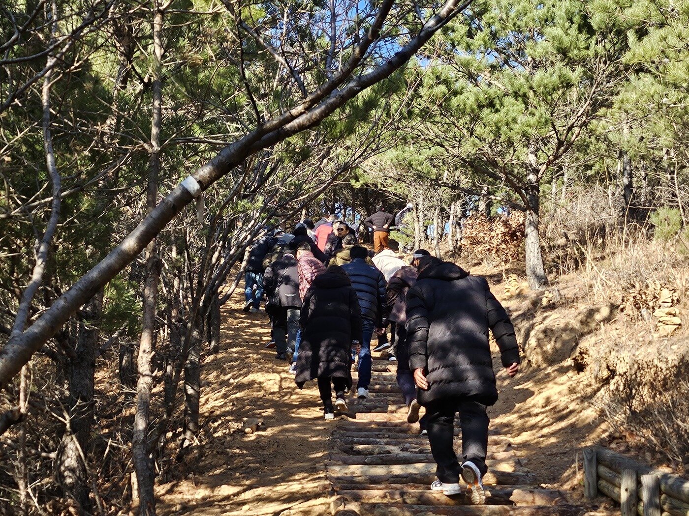 본문 이미지 -  8일 강원 고성군 일대에서 열린 &#39;인문기행&#39;에 참여한 노숙·자활시설 입소자들이 응봉산을 오르고 있다. &#40;한국문화예술위원회 제공&#41;