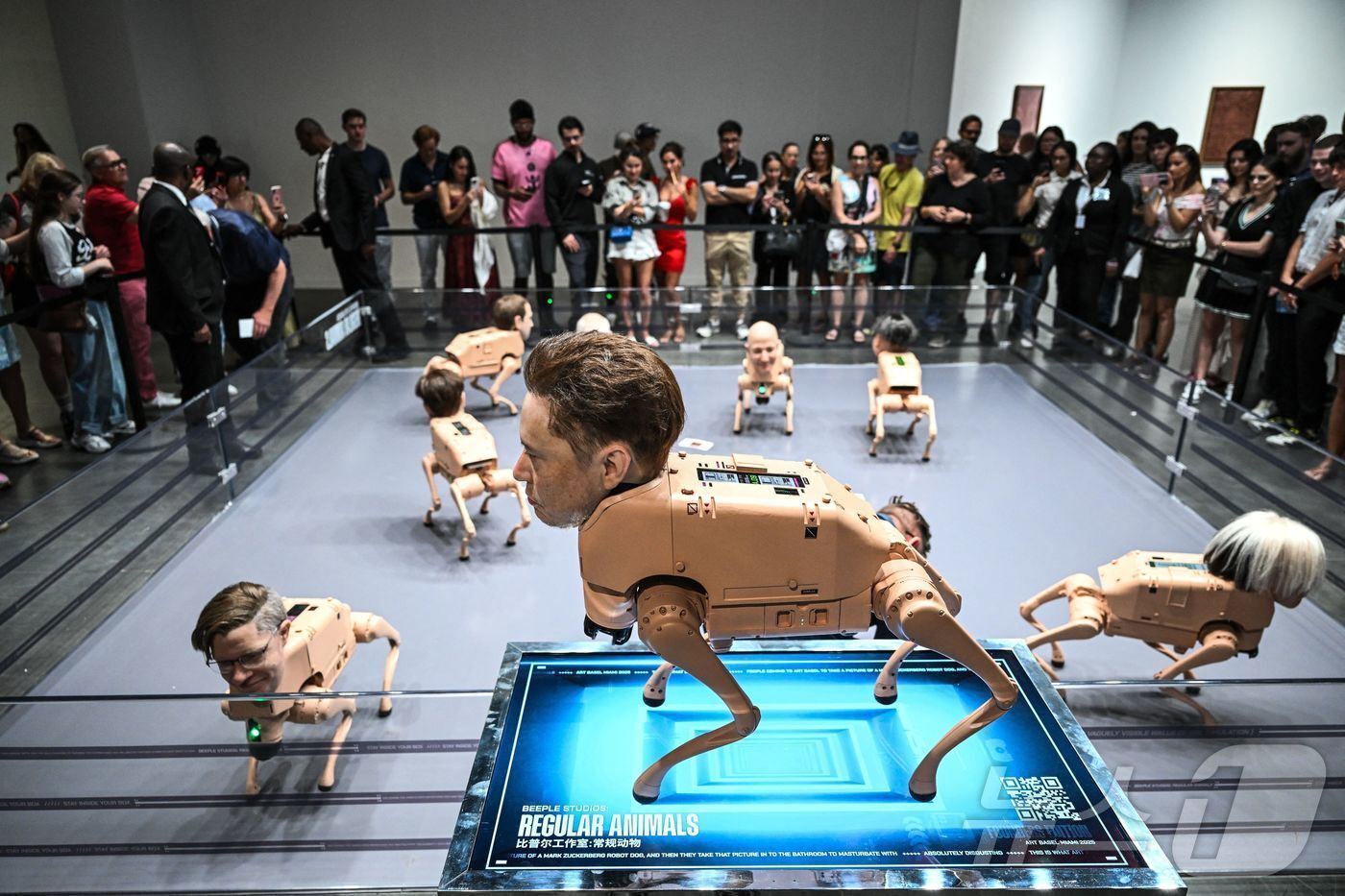 본문 이미지 - 디지털 아티스트 &#39;비플&#39;이 미국 플로리다주 마이애미 비치 컨벤션센터에서 열린 &#39;아트 바젤 2025&#39; 박람회를 통해 선보인 유명인의 얼굴을 한 로봇개들. 2025.12.07 ⓒ AFP=뉴스1 ⓒ News1 이지예 객원기자