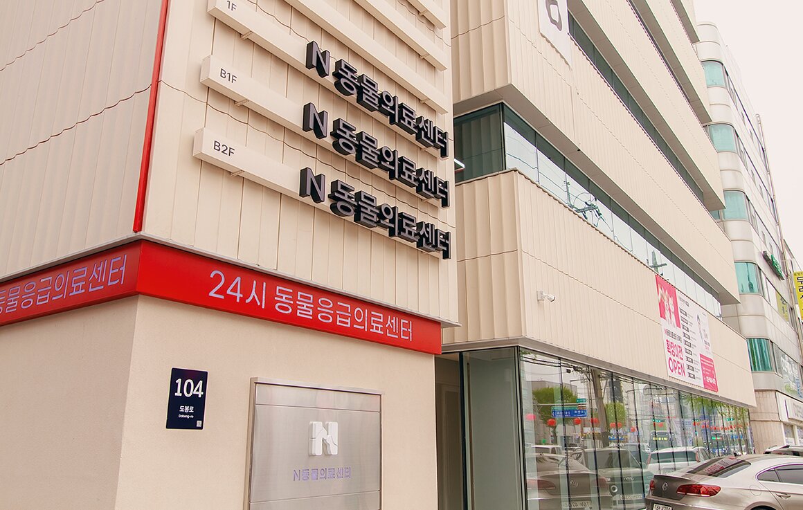 본문 이미지 - N동물의료센터 강북점 외관 전경&#40;병원 제공&#41; ⓒ 뉴스1