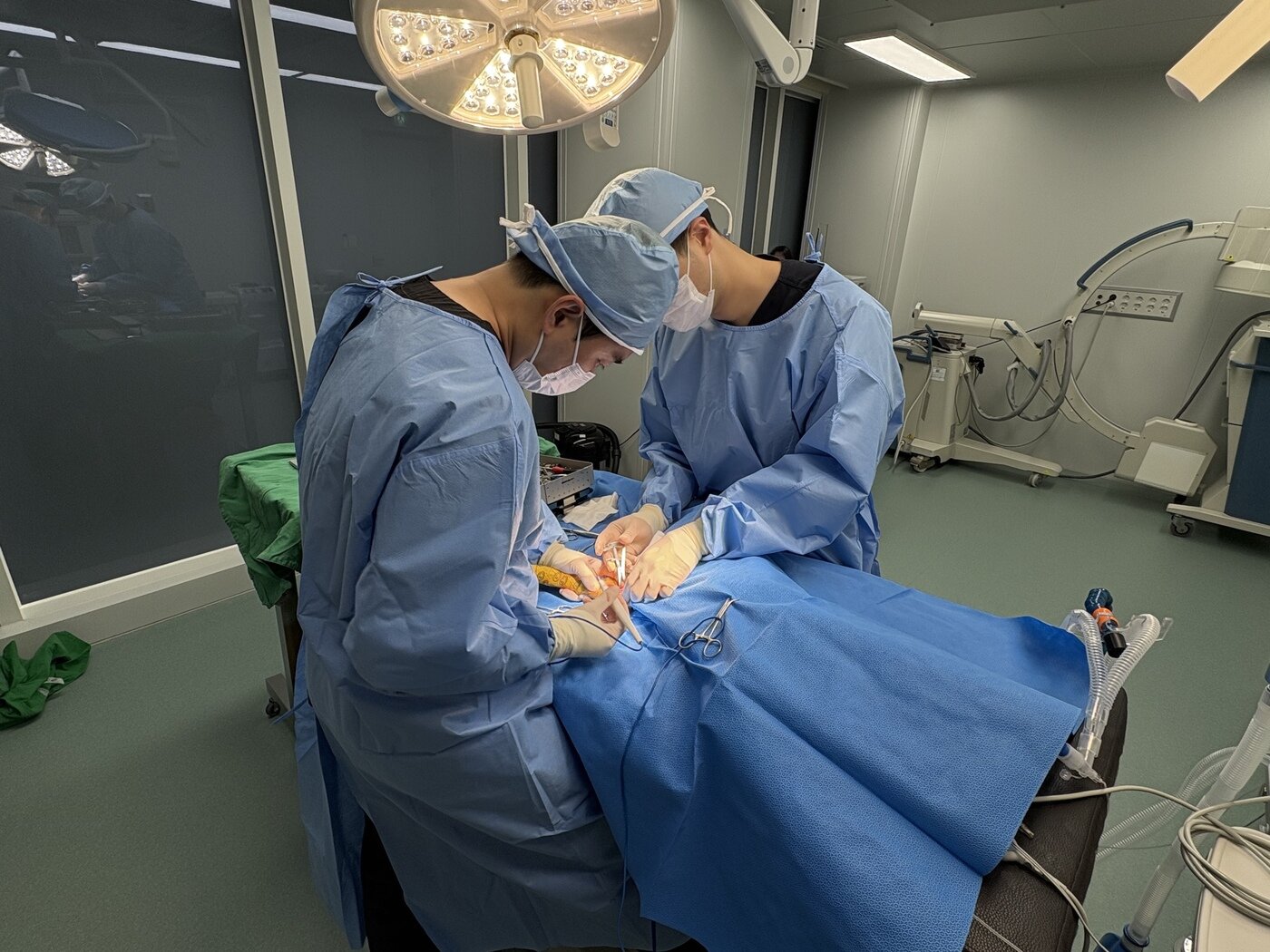 본문 이미지 - 권일 원장&#40;왼쪽&#41; 무균 양압 수술실에서 십자인대 파열 수술을 집도하고 있다&#40;N동물의료센터 제공&#41;. ⓒ 뉴스1