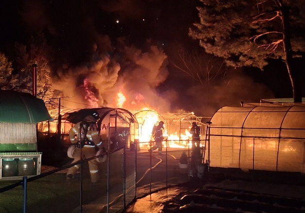 경주서 비닐하우스 불, 3개동 전소…전기적 요인 추정