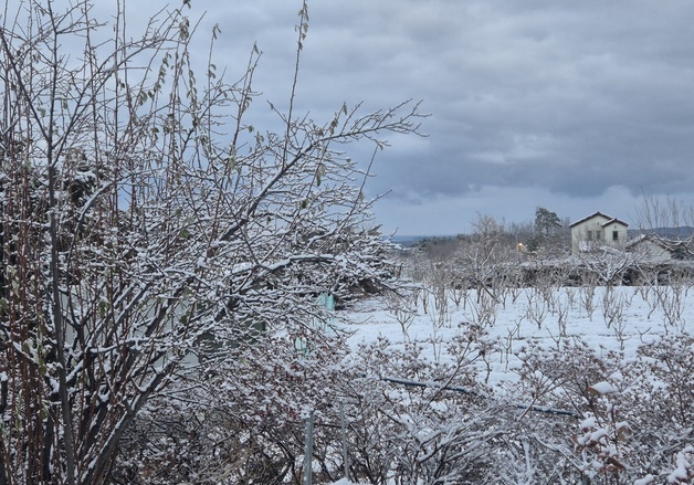 강원도, 비상1단계→상시대비 전환…모니터링 지속·출근길 제설 중