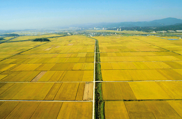 청주시, 올해 농업인 기본형 공익직불금 253억원 지급