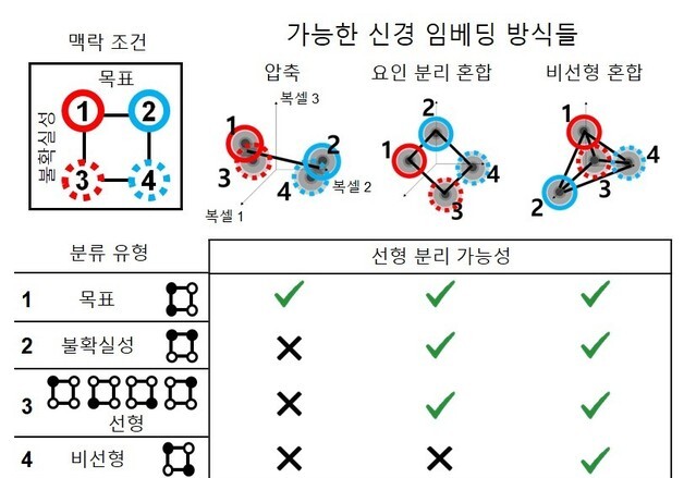 '뇌처럼 배우는 AI' 가능성 열려…인간 전두엽 학습 비밀 규명