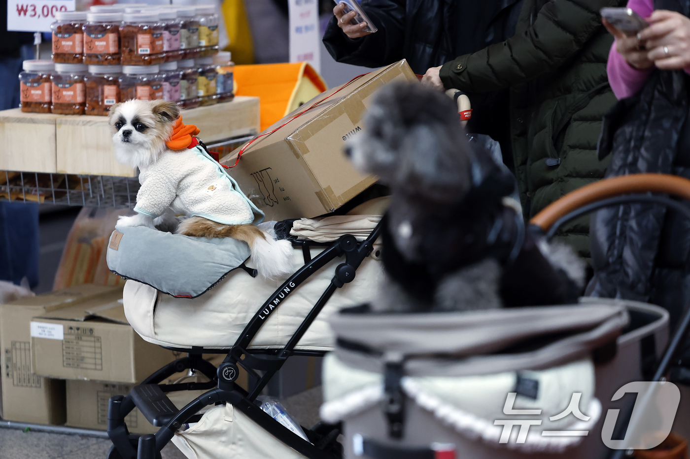 (서울=뉴스1) 박정호 기자 = 12일 서울 강남구 세텍(SETEC)에서 열린 크리스마스 서울펫쇼를 찾은 반려인들이 반려동물 용품을 살펴보고 있다.  2025.12.12/뉴스1