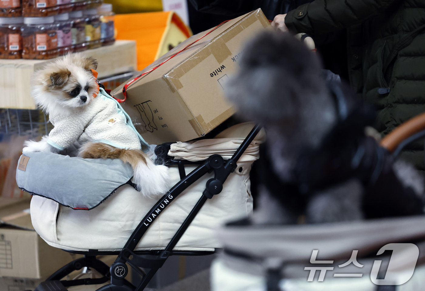 (서울=뉴스1) 박정호 기자 = 12일 서울 강남구 세텍(SETEC)에서 열린 크리스마스 서울펫쇼를 찾은 반려인들이 반려동물 용품을 구입하고 있다.  2025.12.12/뉴스1