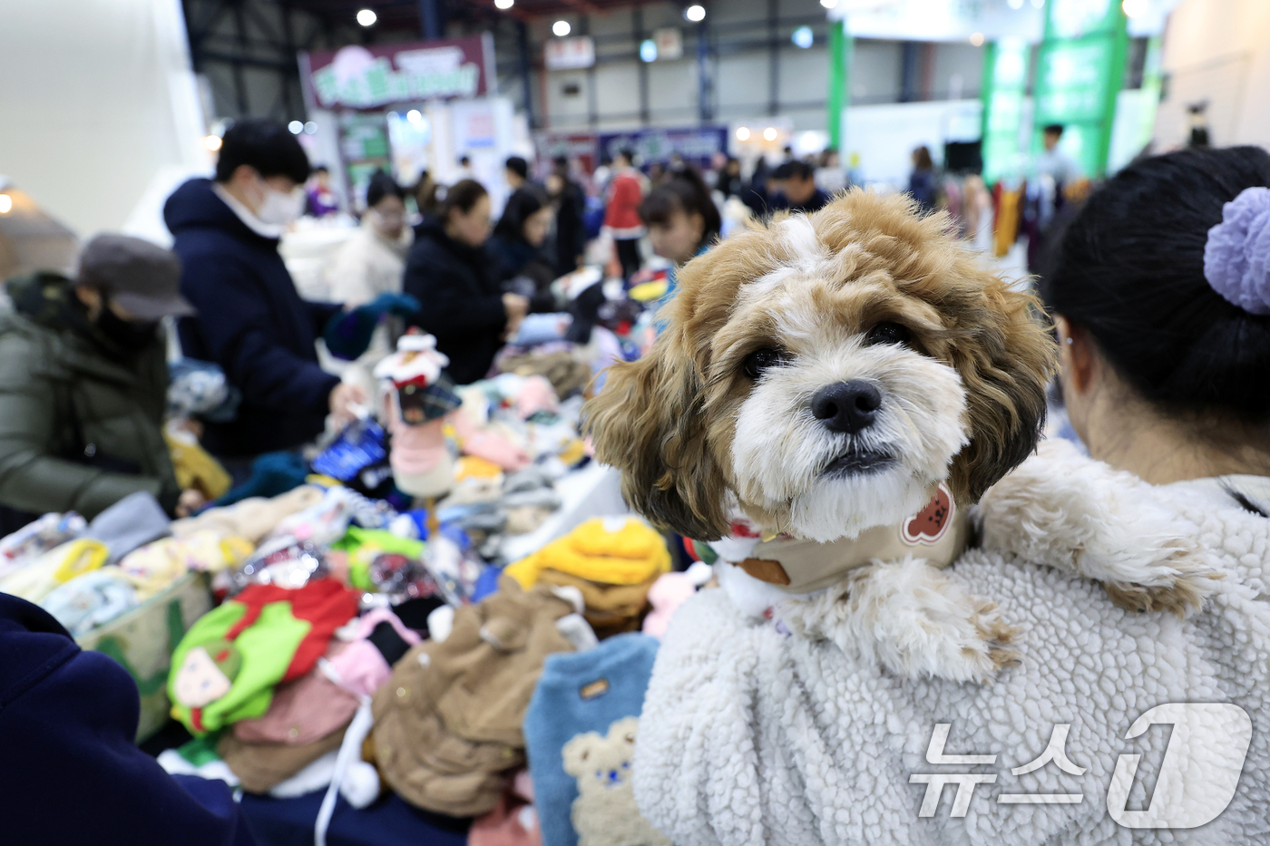 (서울=뉴스1) 박정호 기자 = 12일 서울 강남구 세텍(SETEC)에서 열린 크리스마스 서울펫쇼를 찾은 반려인들이 반려동물 용품을 살펴보고 있다.  2025.12.12/뉴스1