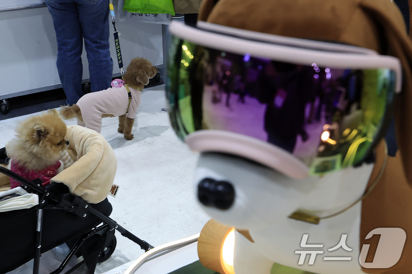 (서울=뉴스1) 박정호 기자 = 12일 서울 강남구 세텍(SETEC)에서 열린 크리스마스 서울펫쇼를 찾은 반려인들이 반려동물 용품을 살펴보고 있다.  2025.12.12/뉴스1