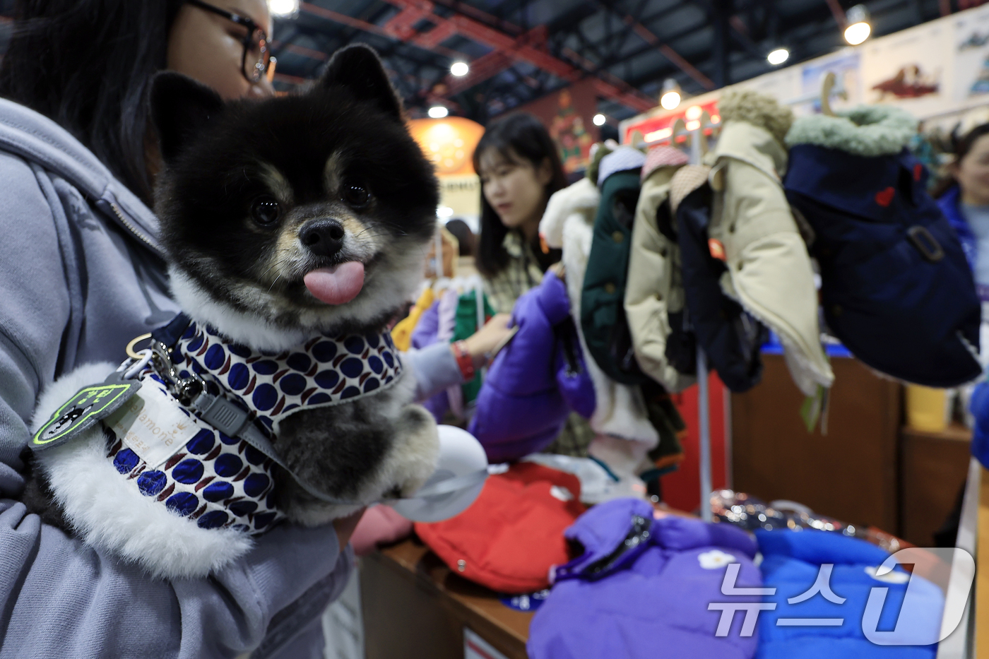 (서울=뉴스1) 박정호 기자 = 12일 서울 강남구 세텍(SETEC)에서 열린 크리스마스 서울펫쇼를 찾은 반려인들이 반려동물 용품을 살펴보고 있다.  2025.12.12/뉴스1