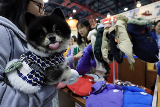 '겨울옷 좀 볼게요'