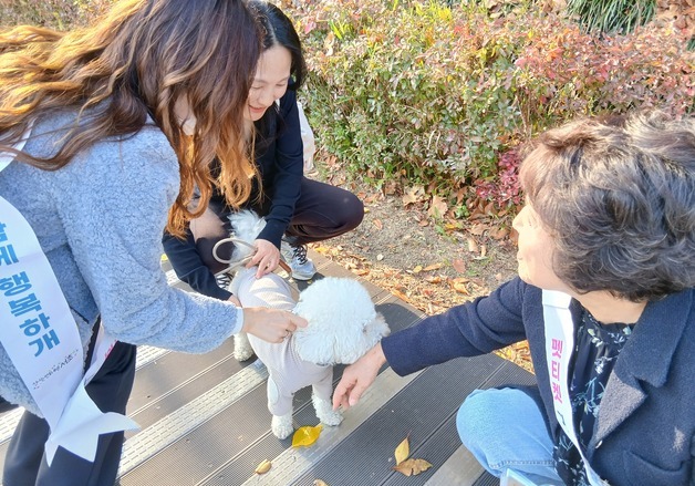 서초구, 동물등록제 자진신고제 확대…성숙한 반려문화 이끈다