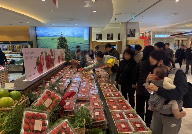 현대백 충청점서 '청원생명딸기' 판촉행사…시식·생명쌀 증정