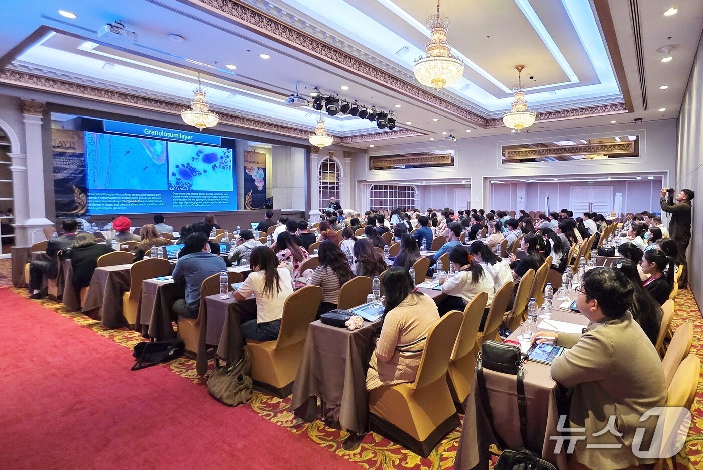 본문 이미지 - 아시아수의임상피부학회 학술대회가 8일 태국 방콕에서 열렸다. ⓒ 뉴스1