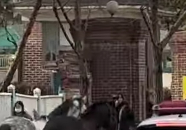 평택서 마구간 탈출한 말 2마리 도로 '활보'…경찰, 25분만에 주인 인계