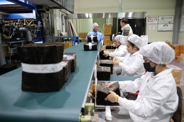 전남도, 김 수출 확대 계획 마련…"2030년 수출 7억달러 달성"