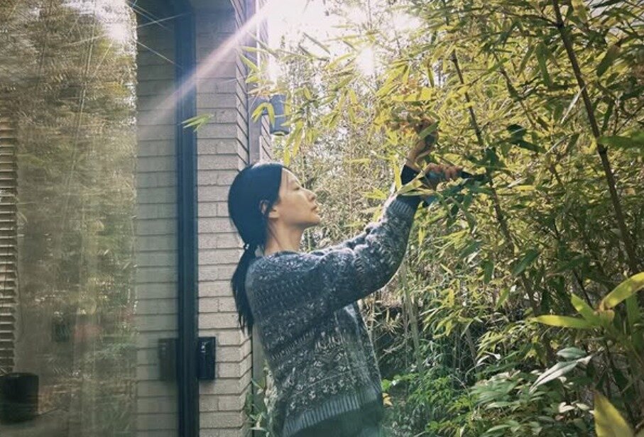 본문 이미지 - 배우 이영애 인스타그램