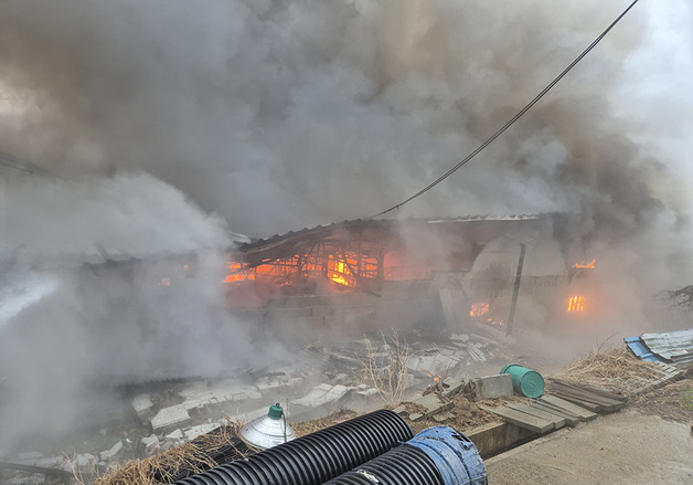 당진 순성면 돈사서 불…돼지 130마리 폐사·1억 5000만 원 피해